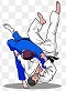 Jiu-jitsu