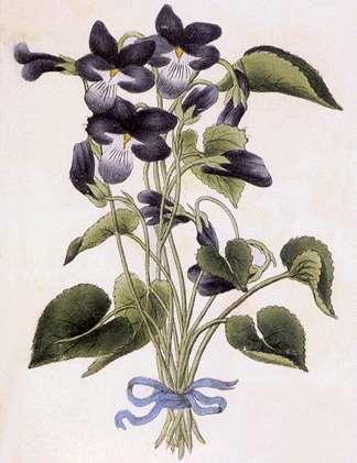 Onde estão os perfis?