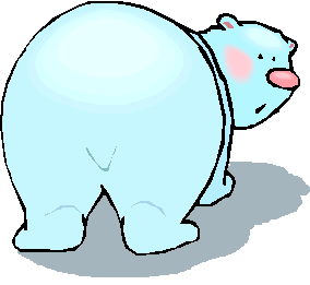 O urso e o zoológico