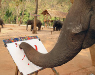 Elefante pintando